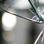Broken Windows in Business are Fatal and Often Go Ignored