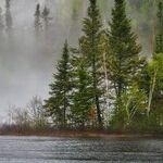 Climate Science Makes a Bad Religion
