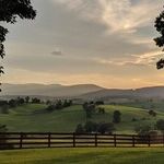 Virginia Turns Toward Trump