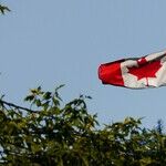 Canada Should Warm to Trump's Arctic Plans