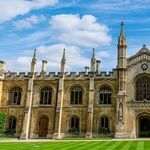 Diversity, Equity, and Confabulation