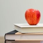 Idaho Wants To Jail Professors for Teaching About Abortion