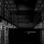 Writing an Op-Ed Is Not Grounds for Deportation