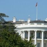 Your Questions Answered: Trump's First 100 Days