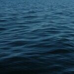 Trump's Boat Strikes Are Illegal. The Public Needs Answers.