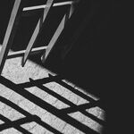Deaths in Detention: ICE Is Rapidly Expanding Detention Camps Into Warehouses Despite Record Deaths