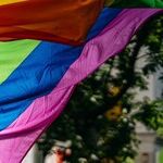 Trump Administration Playbook Takes Tactics From Lavender Scare of the Cold War