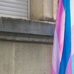 Your Questions Answered: What You Need to Know About the BPJ and Hecox Supreme Court Decision