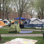 2024 Campus Protesters Are Rebooting a 1968 Show