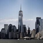 NYC Democratic Candidate Mirrors Trump's Campaign Strategy