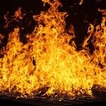 Is America Burning? The Political Arsonist in the White House