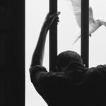 Remember When the Trump Administration Started Executing Federal Inmates?