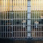 Diddy Sits in Jail Pending Trial