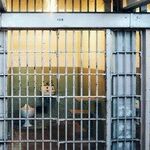 Biden's Death Row Clemency Proves Need for Death Penalty