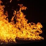 Incarcerated Indentured Servants Fight Wildfires