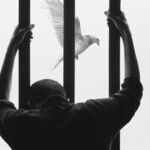 DNA Reveals Flaws in Criminal Justice System