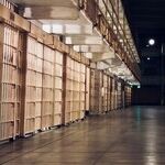 The Presidential Pardon as a Tool of Political Repression