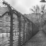 Harking Back to History