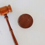 States Look to Their Own Constitutions for Guidance on Racial Equality