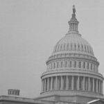 The Killings Continue