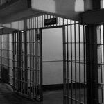 Don't Free Mahmoud Khalil