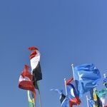 COP28 Climate Summit Seeks a 'License to Kill'