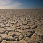Trump Works to End California's Man-Made Drought