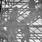 How Deportations Help American Workers