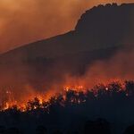 Playing With Fire: In Defense of Controlled Burns
