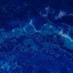 Why the Left Won't Let Racism Die