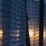 Mass Deportations Could Save America, but Not in the Way You Think
