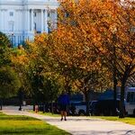 Lindsey Graham's Legacy: It's Complicated