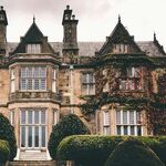 The Dream Monstrosity