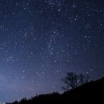 Stars of an Arabian Night