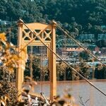 Parts of Pennsylvania: Skulls on a Shelf