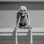 A Middle-Aged Teddy Bear Dances with a Skeleton