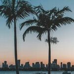 A Few Remedial Crime Tips