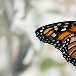 People Can Change -- and That's a Good Thing