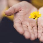 Giving Thanks for the Present Creates a Brighter Future