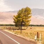 Want Everything to Go Smoothly? Be Careful What You Wish For