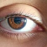 Sarcastic Wit Carries Too High a Cost