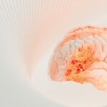 The Brain Games That Science Shows Lower Dementia Risk