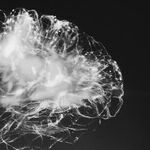 Lifting Weights Makes Your Brain Look Younger