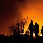 The Case for Prescribed Burning: Fighting Fire With Fire