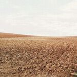 The Age of Dichotomy Is Tearing Up America