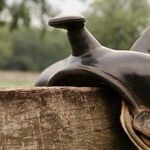 Venus Saddles Centaur