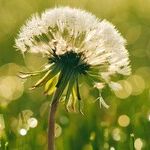 Planets of Potentiality