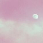 The Pink Moon's Slow Burn