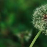 Solar Transit to First Earth Sign