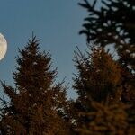 How Blue the Moon